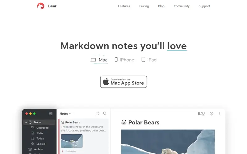 Preview of Bear